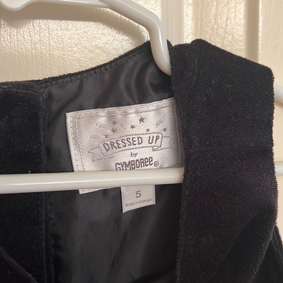 Dressed Up by Gymboree dress - Picture 2 of 4